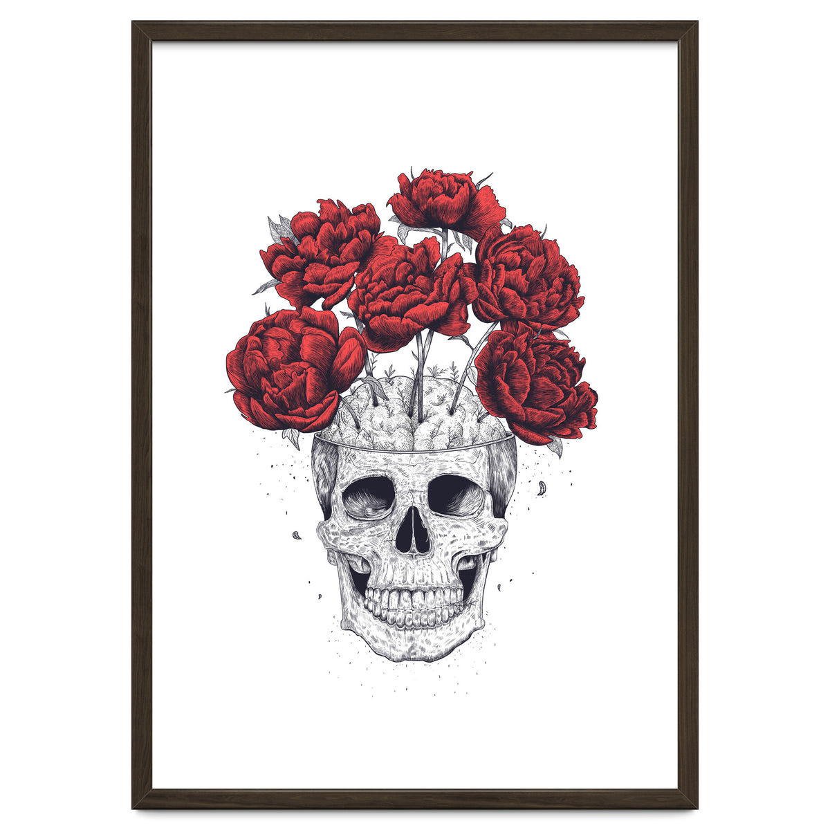 Skull With Peonies