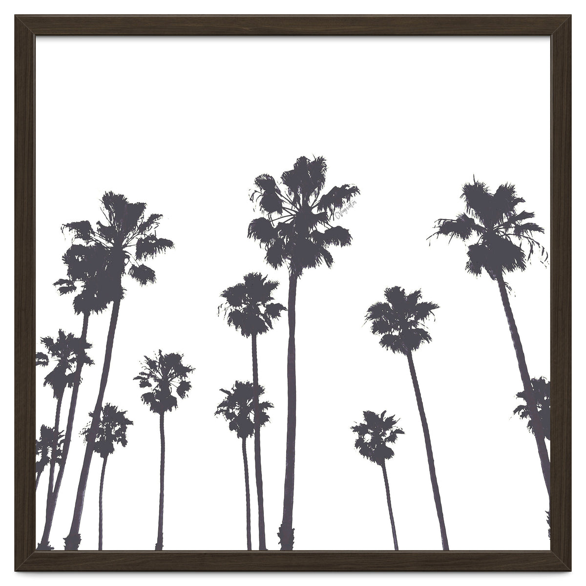 Palms & Sunset-Minimal B&W