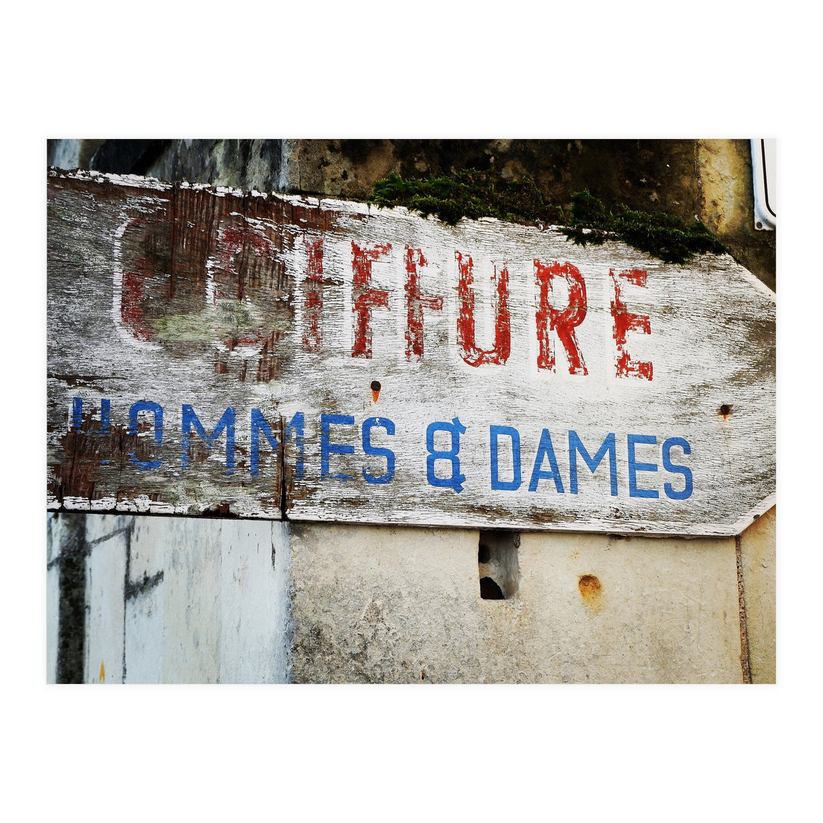 E3 F3226 F 3 Bdc 4379 8 C4 F Cbee394 B1236 (Print Only)