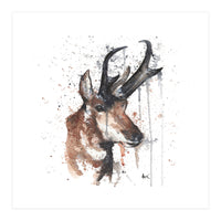 Red deer - Wildlife Collection (Print Only)