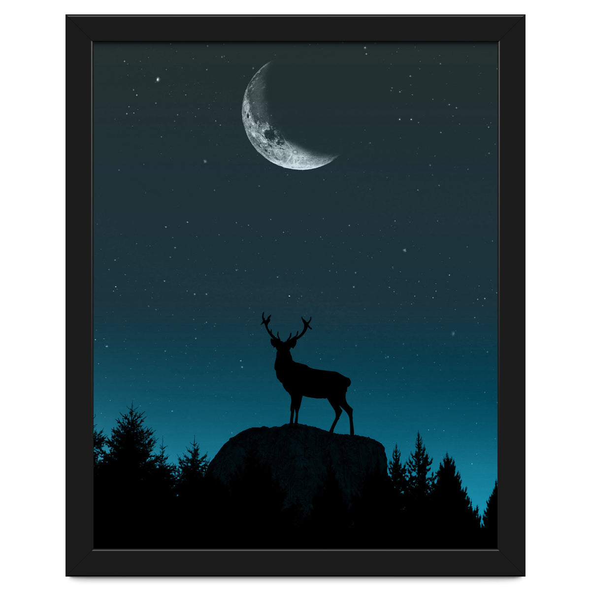 Wild Nature - Nocturne