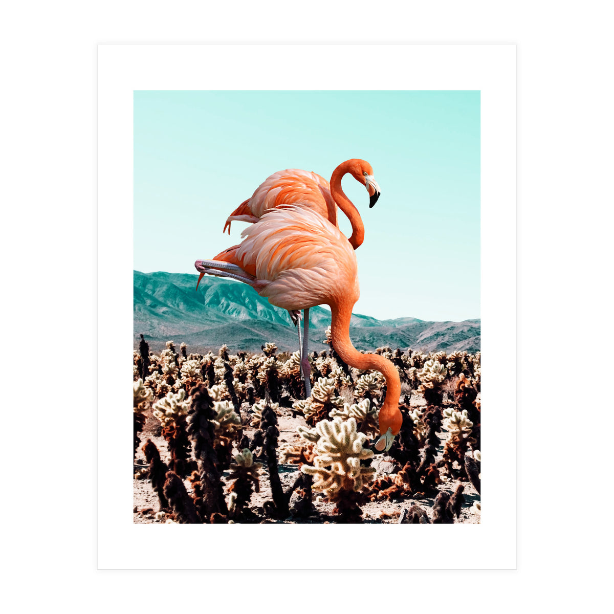 Flamingos In The Desert (Print Only)