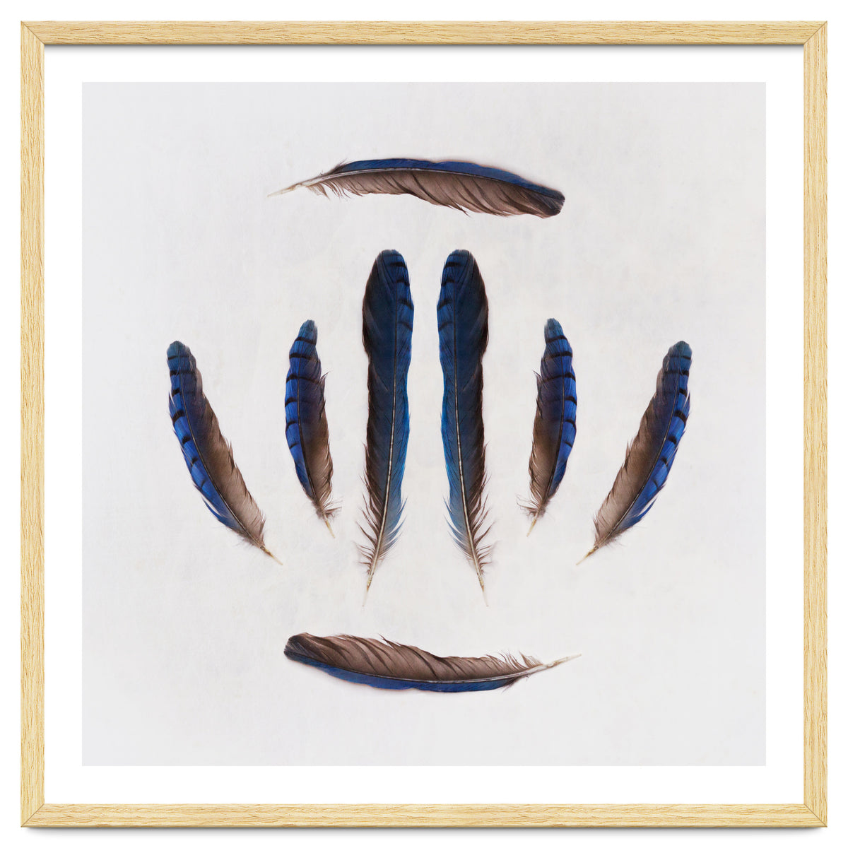 Forgive Me For Forgetting