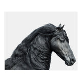Friesian Horse (Print Only) thumbnail