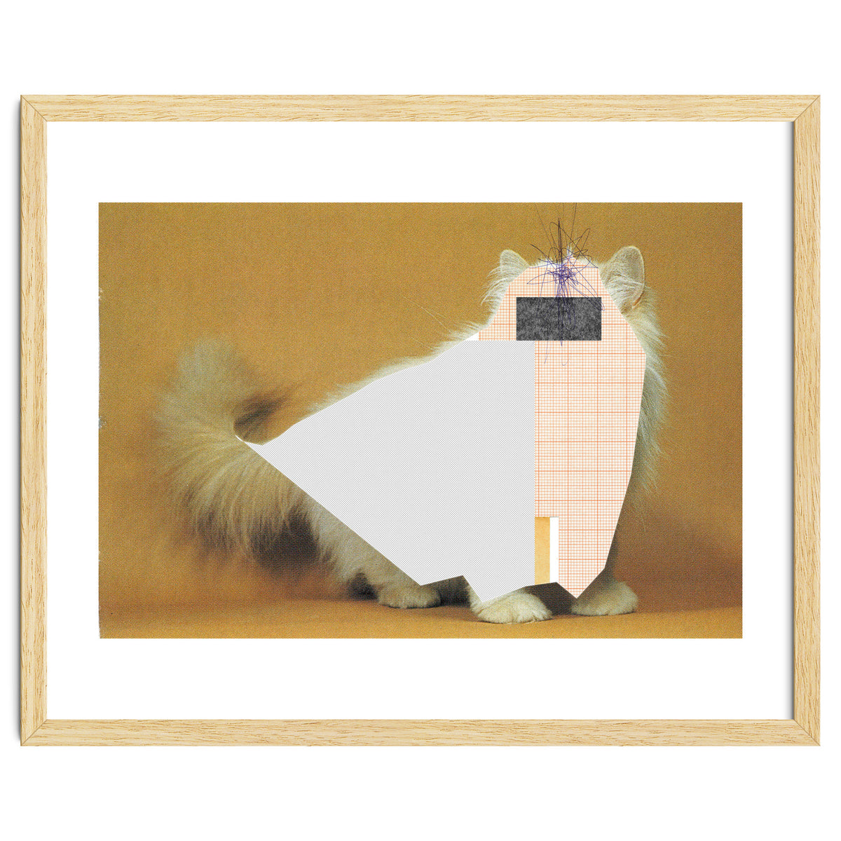 Content Of The Cat 1