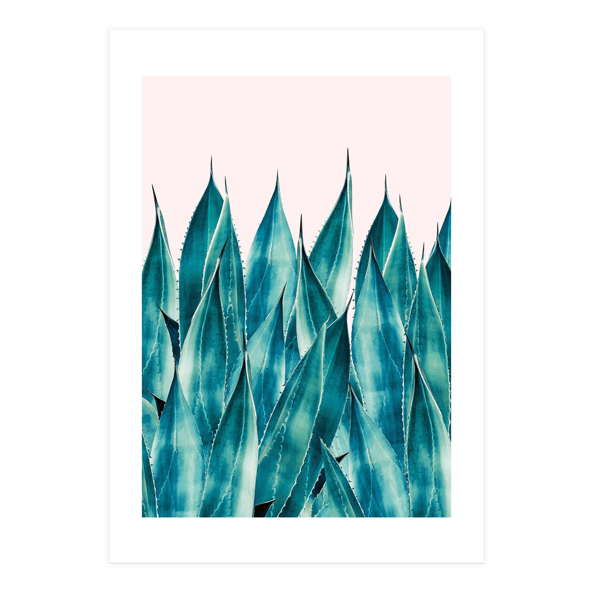 Summer Agave (Print Only)