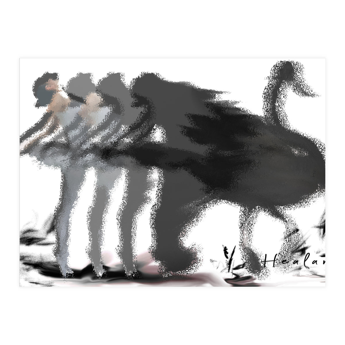 The Black Swan (Print Only)