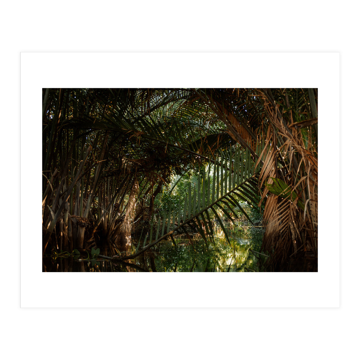 Exploring Vietnam (Print Only)