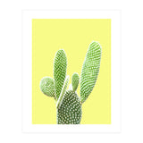 Cactus Yellow Background (Print Only) thumbnail