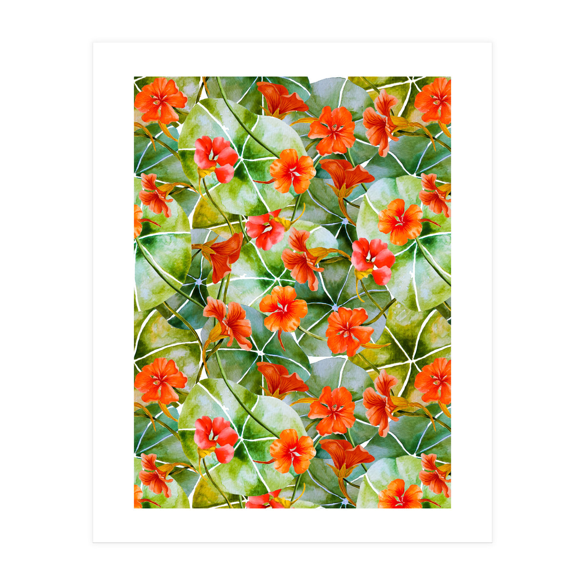 Nasturtiums watercolor 01 (Print Only)