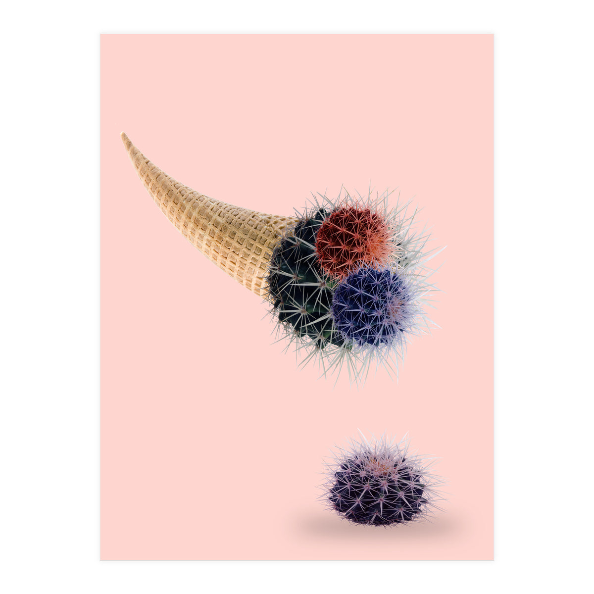Cactus Cream 50x70 (Print Only)