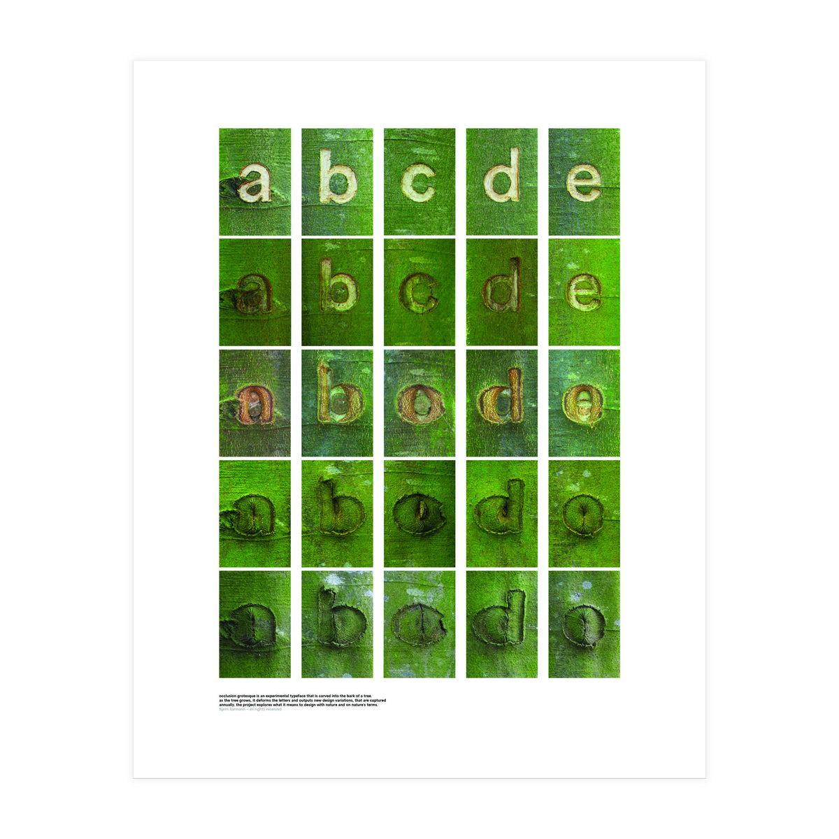 abcde (Print Only)