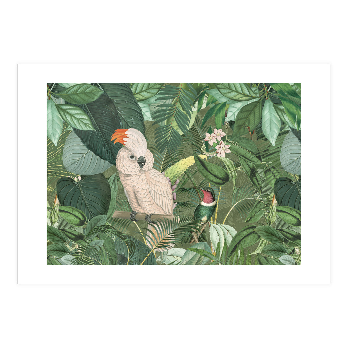 Jungle Friends (Print Only)