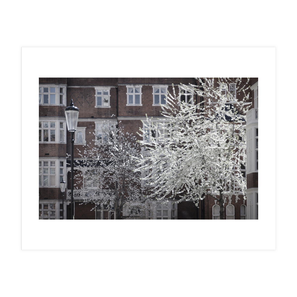 Chelsea Spring  (Print Only)