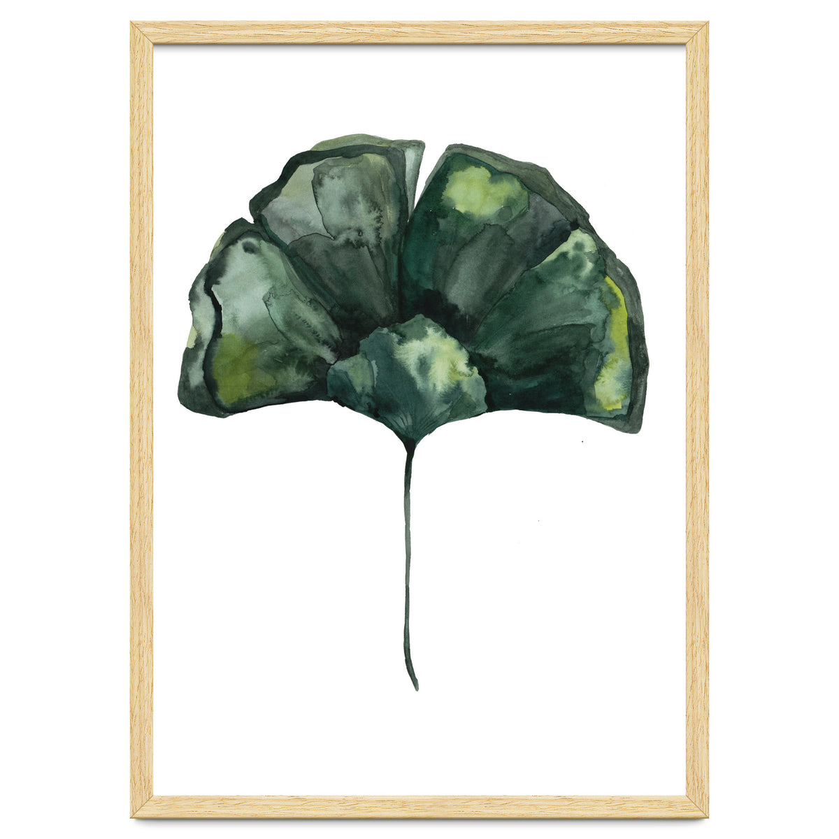Botanical Illustration Ginko