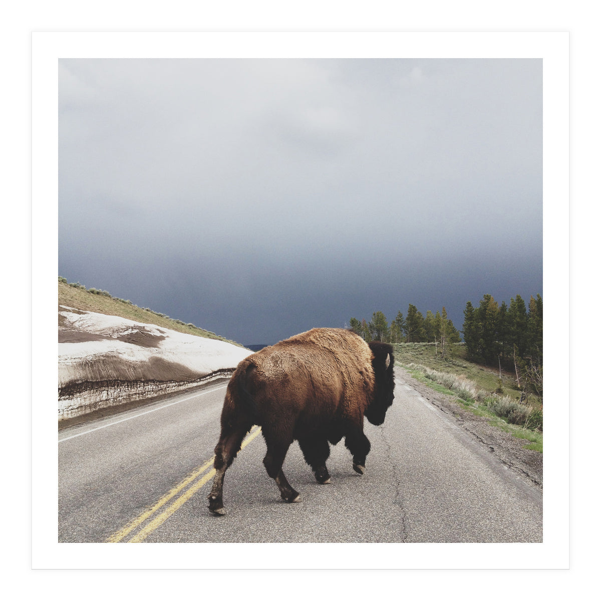 Street Walker (Print Only)