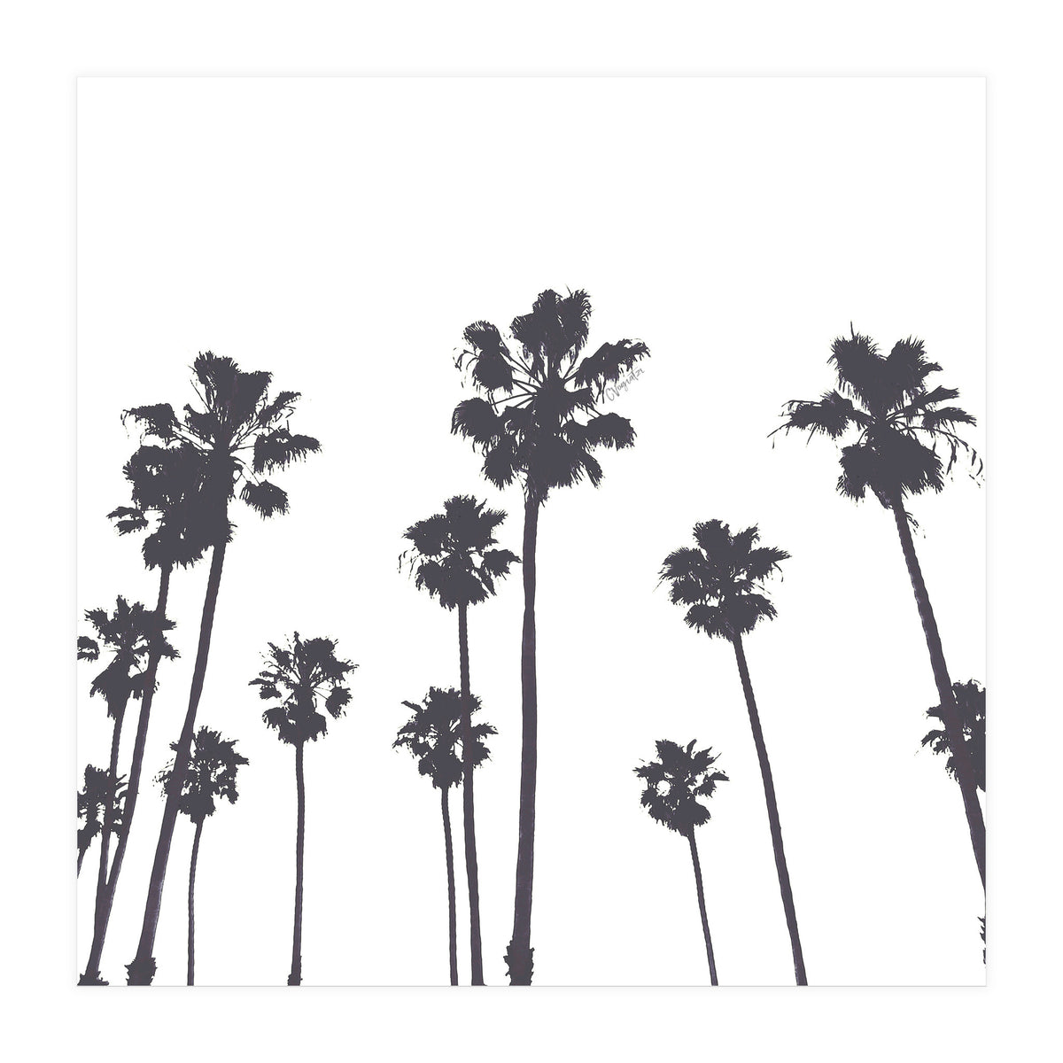 Palms & Sunset-Minimal B&W (Print Only)