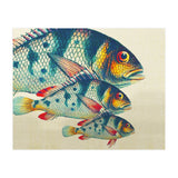 Fish Classic Designs 3 (Print Only) thumbnail