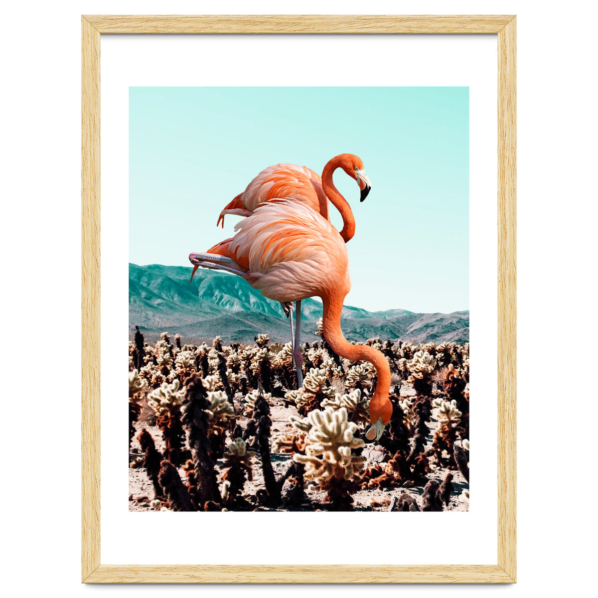 Flamingos In The Desert