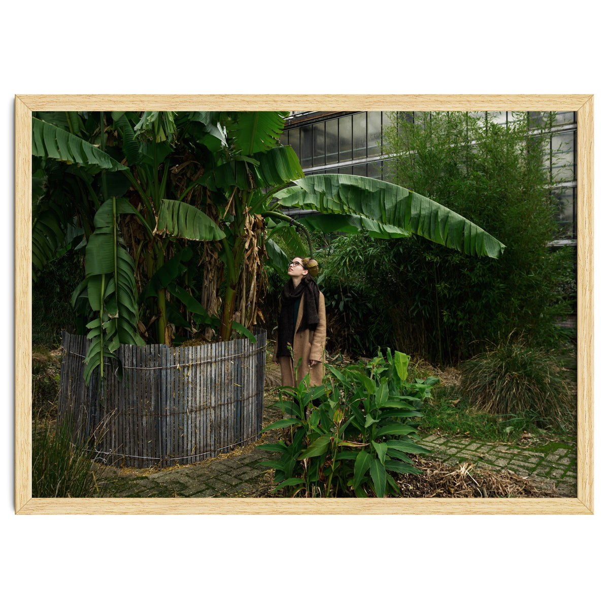 Transition from Summer to Winter