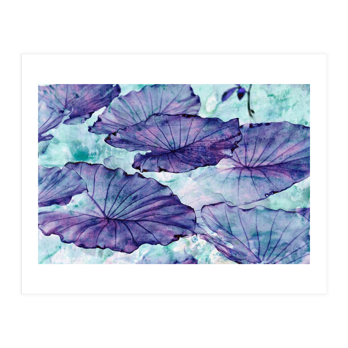 Botanical Surrealism (Print Only)