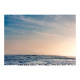 Pelican Sunset (Print Only) thumbnail