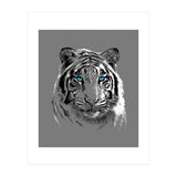 Sketch Tiger (Print Only) thumbnail
