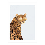 Cool Cat Cheetah Portrait with Gold Sunglasses (Print Only) thumbnail