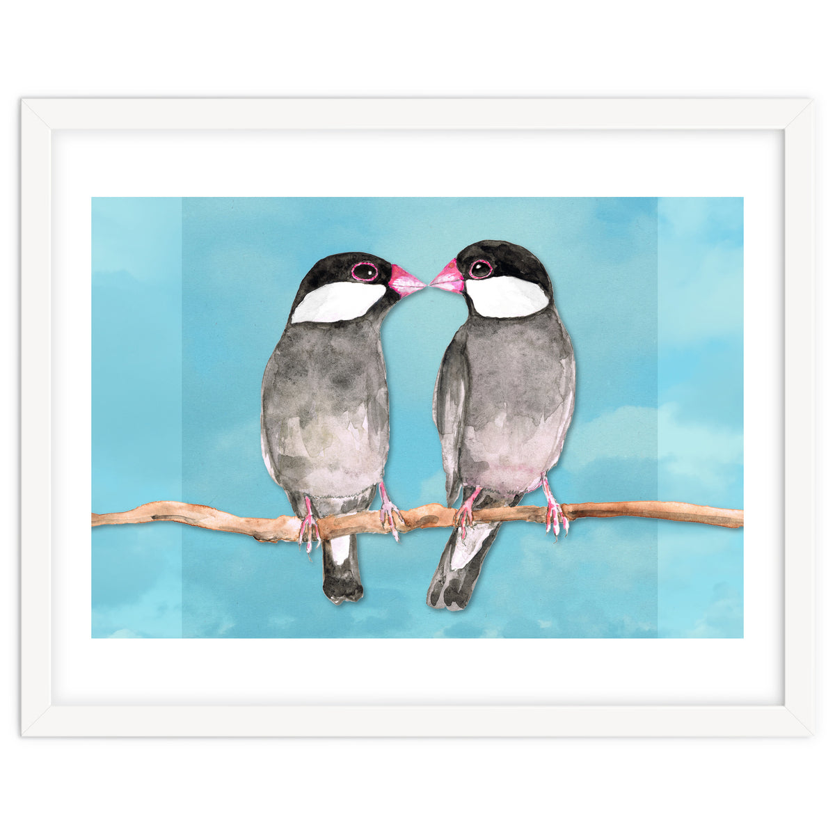 Two kissing Java sparrows