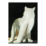 KatzenJammer 11 (Print Only) thumbnail