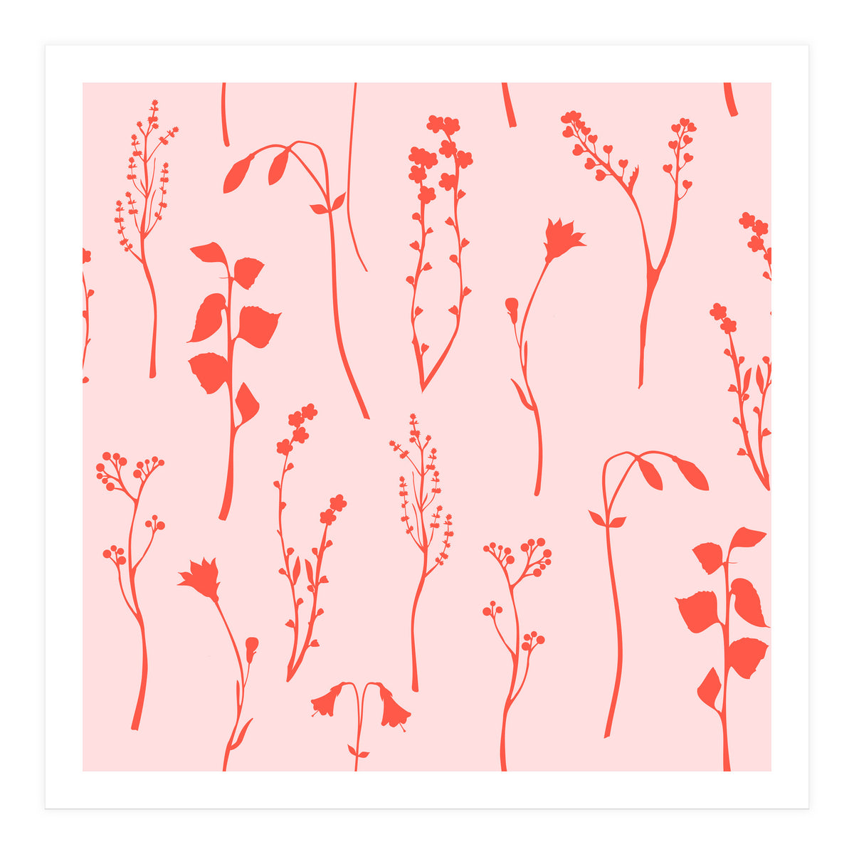 Botanical Blush (Print Only)