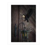 Lumieres (Print Only) thumbnail
