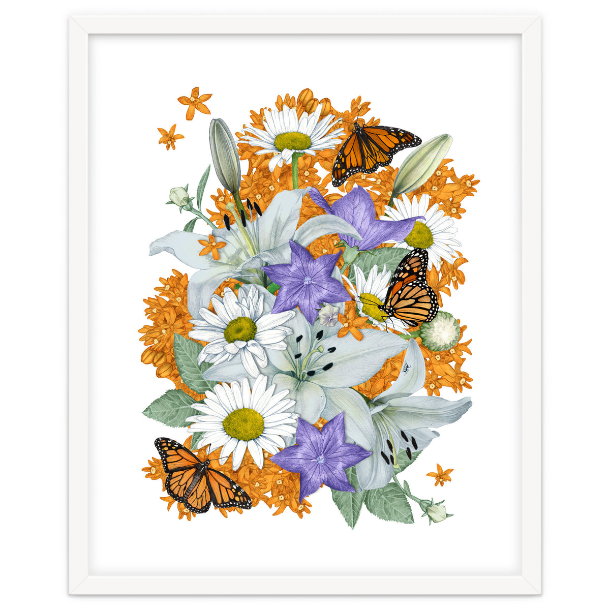 Lillies and Monarchs