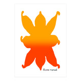 Fuego 127 Copia (Print Only) thumbnail