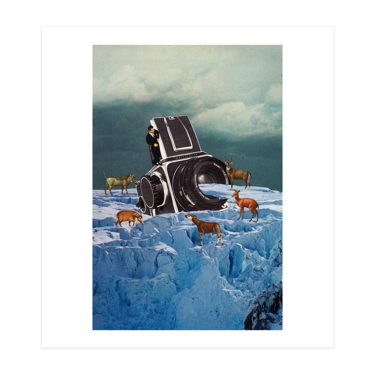 Cameraman (Print Only)