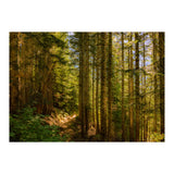Cascade Trail (Print Only) thumbnail
