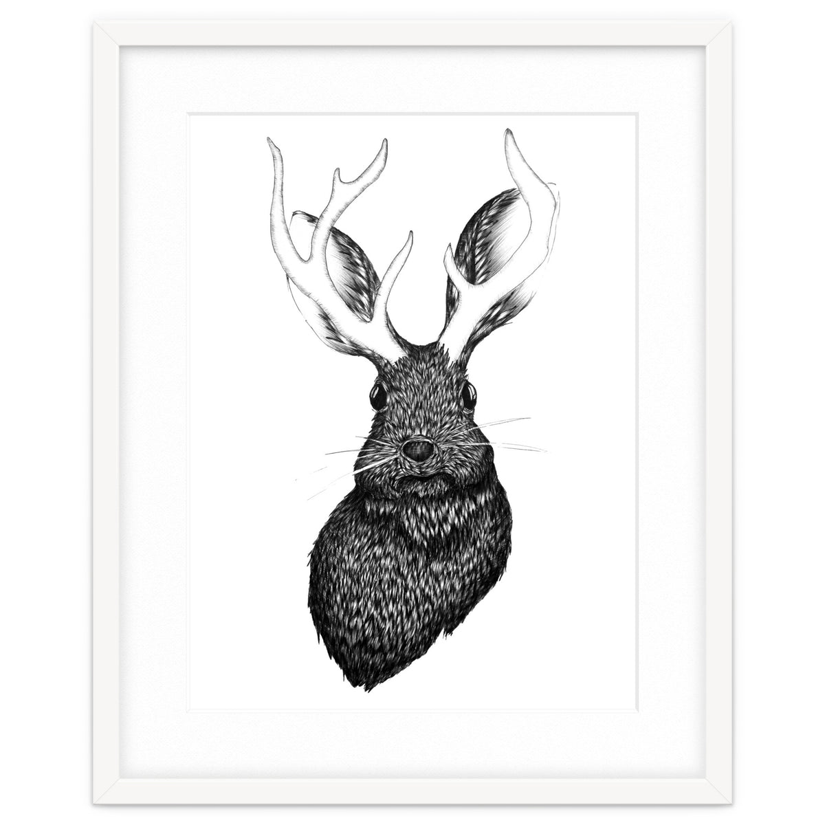 Jackalope