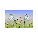 Butterfly (Print Only) thumbnail