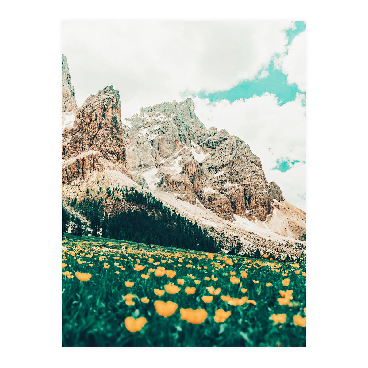 Hillside Meadow (Print Only)