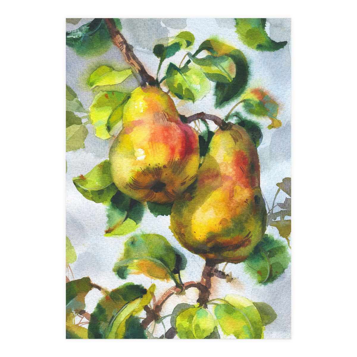 Pears (Print Only)