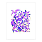 Ultraviolet Nature (Print Only) thumbnail