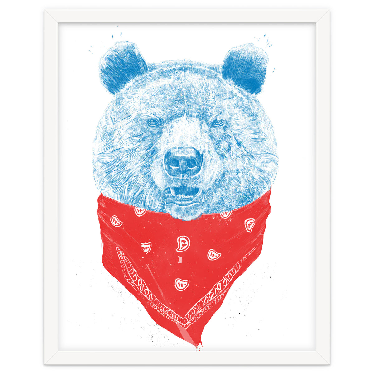 Wild Bear Color Version