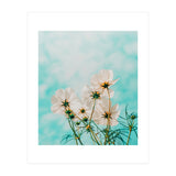 Fiona (Print Only) thumbnail