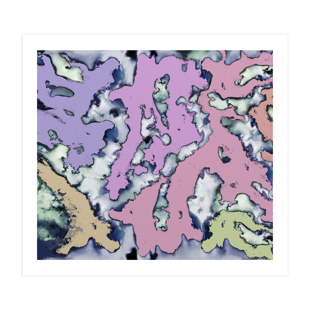 A Soft Choice (Print Only)