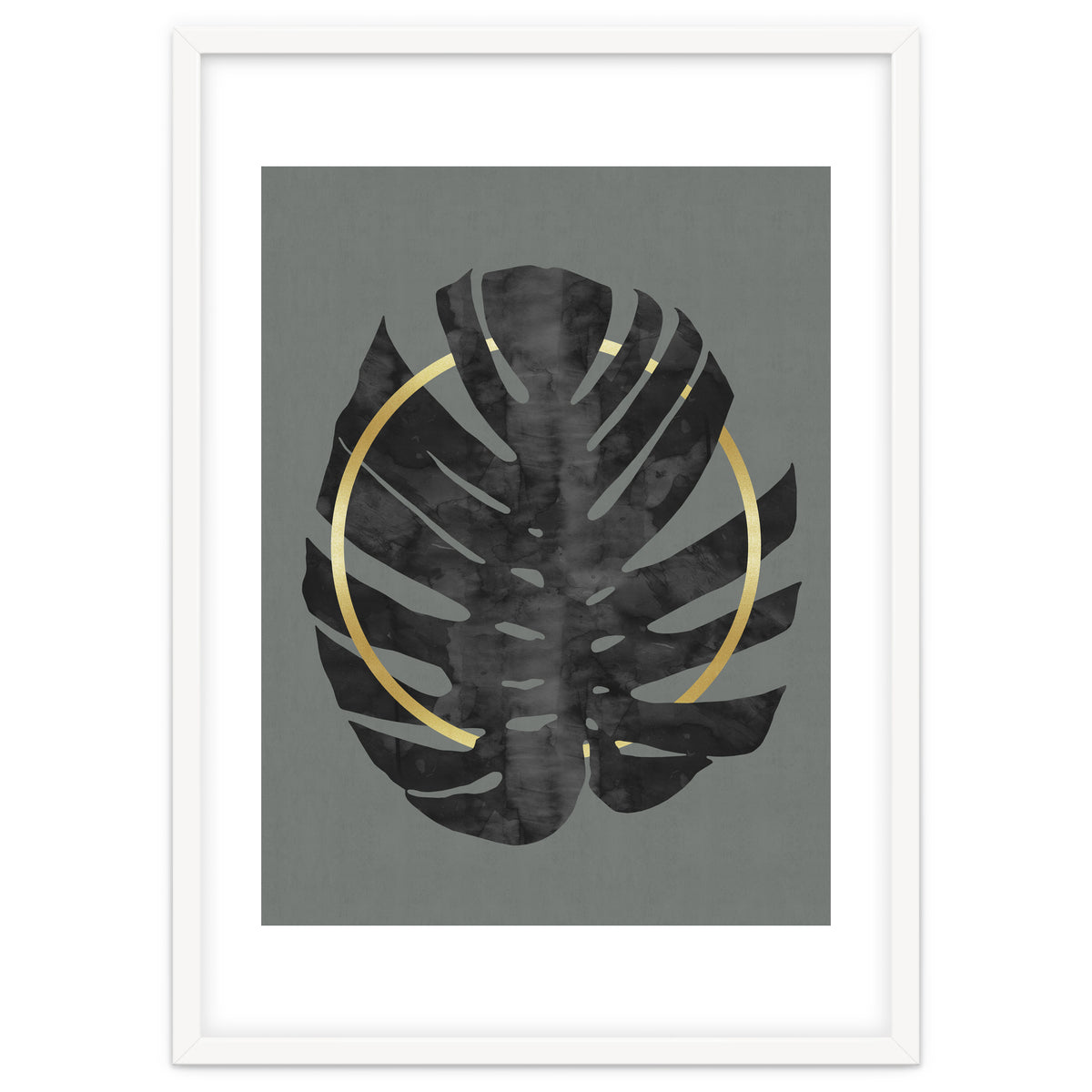 Monstera Deliciosa I