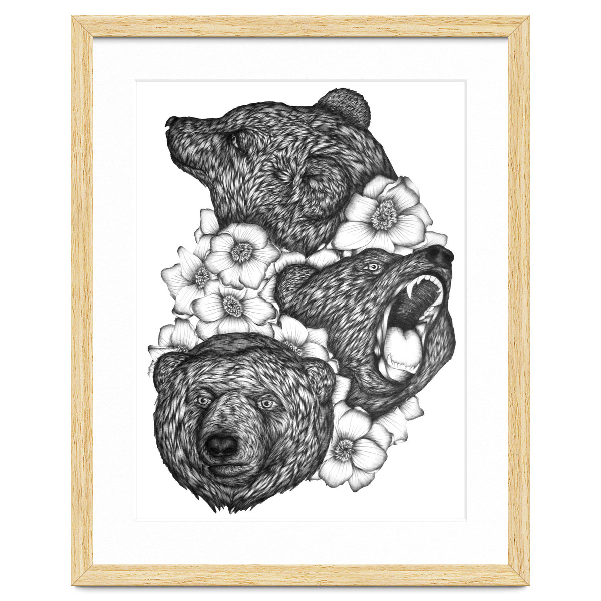 Bears In Bears