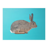 Rabbit (Print Only) thumbnail