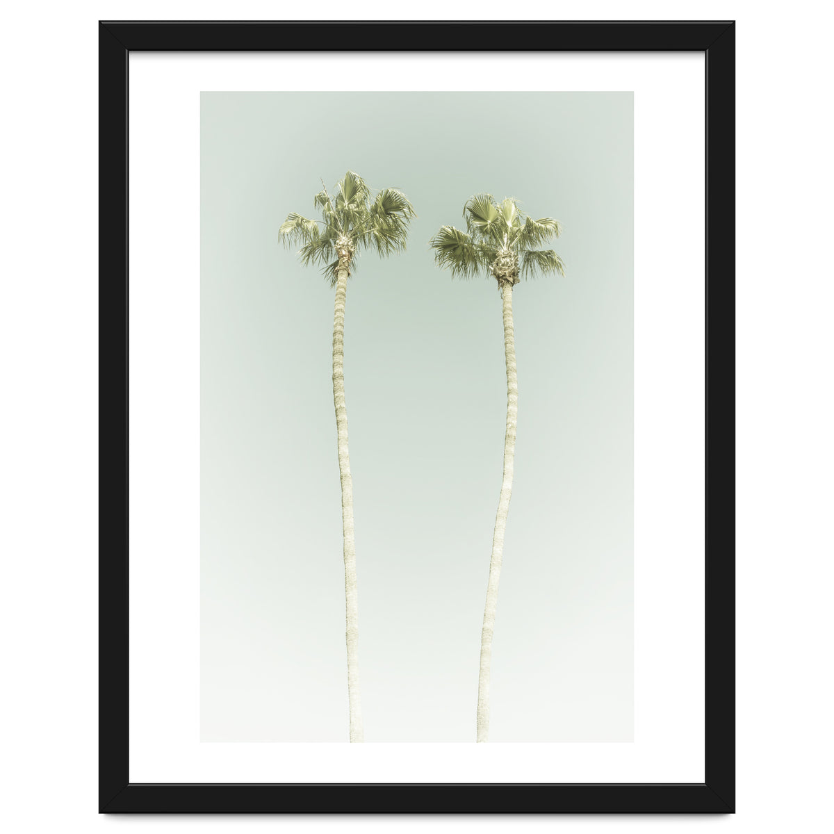 Vintage Palm Trees