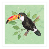 Toco toucan (Print Only) thumbnail