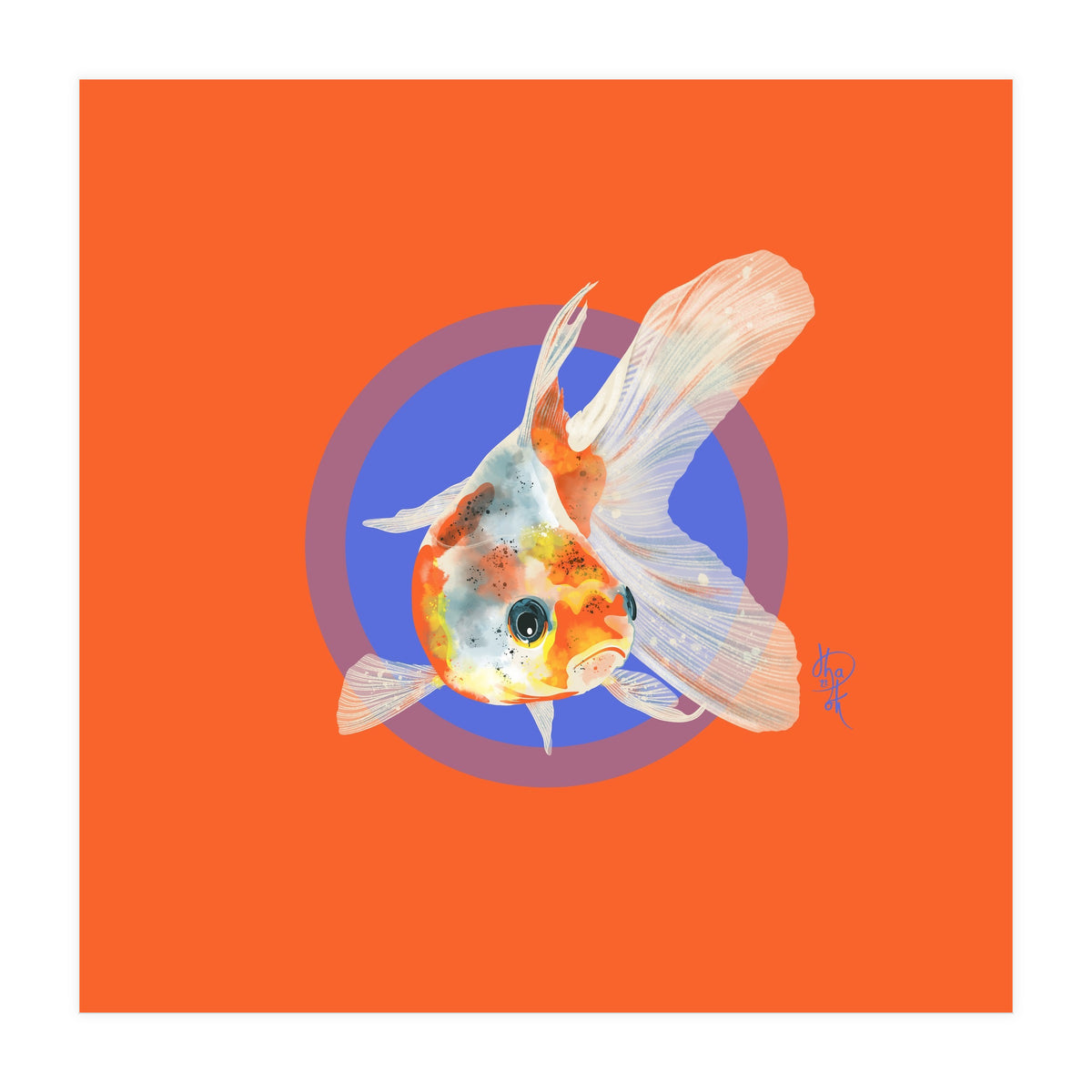 Koi Carp (Print Only)